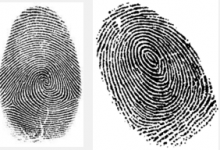 Fake Id Charge On Background Check Banking Site Www.wallstreetoasis.com